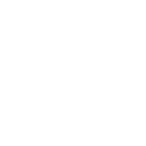 Halbleiter Icon