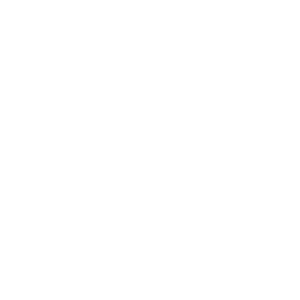 Behörden und öffentlicher Sektor Icon