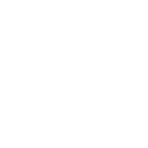 Gesundheitswesen Icon