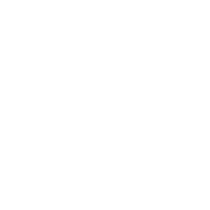 Dienstleistungen Icon